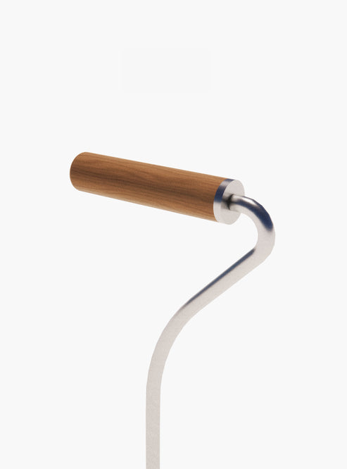 walking sticks